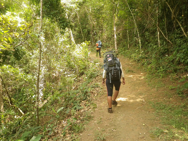 Trecho de trilha no contorno do Mamanguá