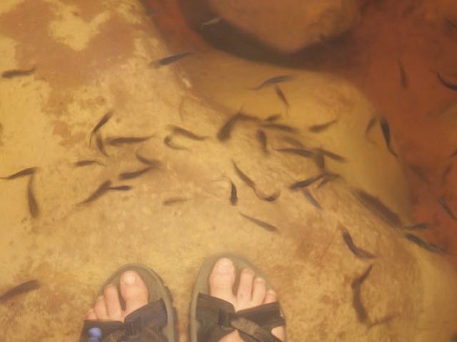 Vários peixinhos no poço do Cachoeirão