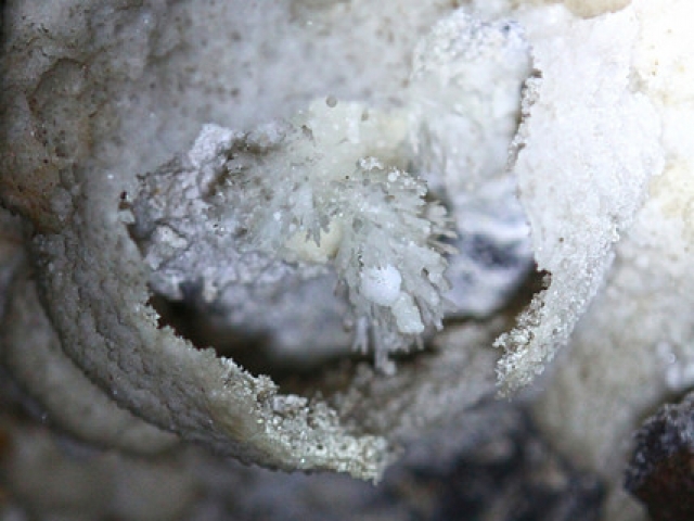 Bolha de Calcita - Caverna da Torrinha