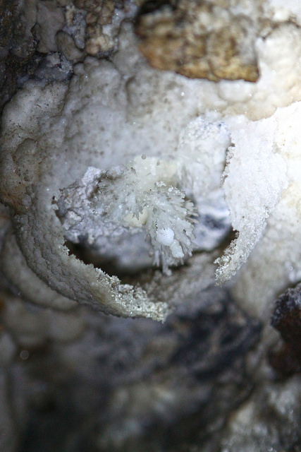 Bolha de Calcita - Caverna da Torrinha