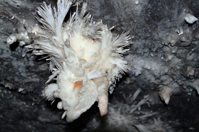 Helectite com cristais - Caverna da Torrinha