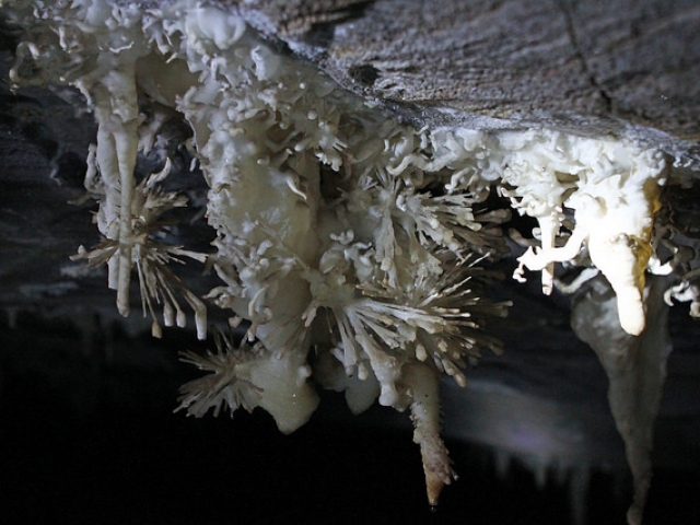 Helectites e Flores de Aragonita - Caverna da Torrinha