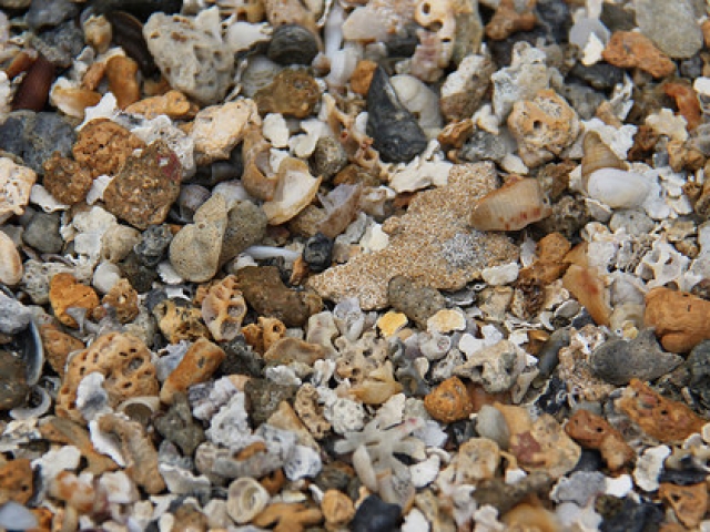 Ao fotografar a areia, você encontra micro conchas no lugar de grãos