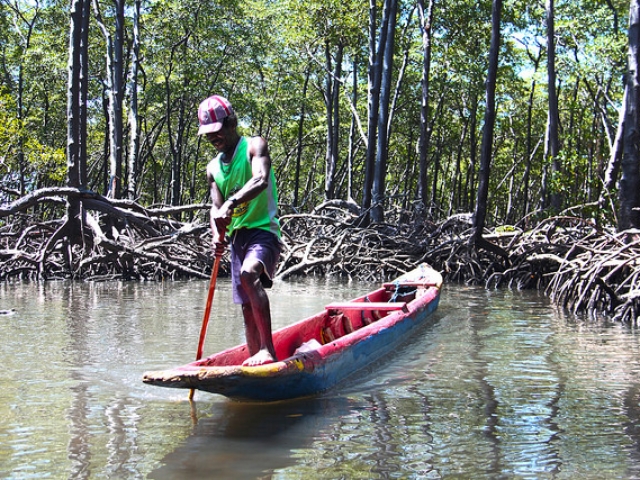 Canoa para atravessar um trecho fundo no mangue
