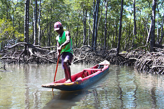 Canoa para atravessar um trecho fundo no mangue