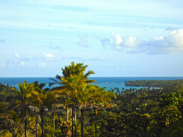 Ilha de Boipeba, vista da comunidade de Monte Alegre