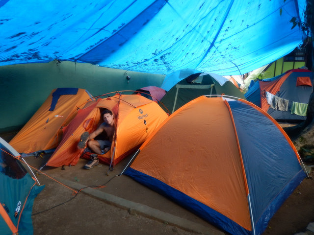 Falco na barraca - Camping do Bicão