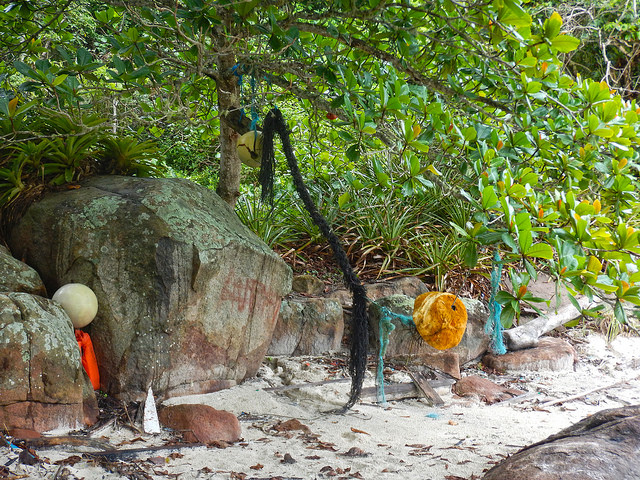 Resto de redes de pesca deixados na árvore na Praia do Sul