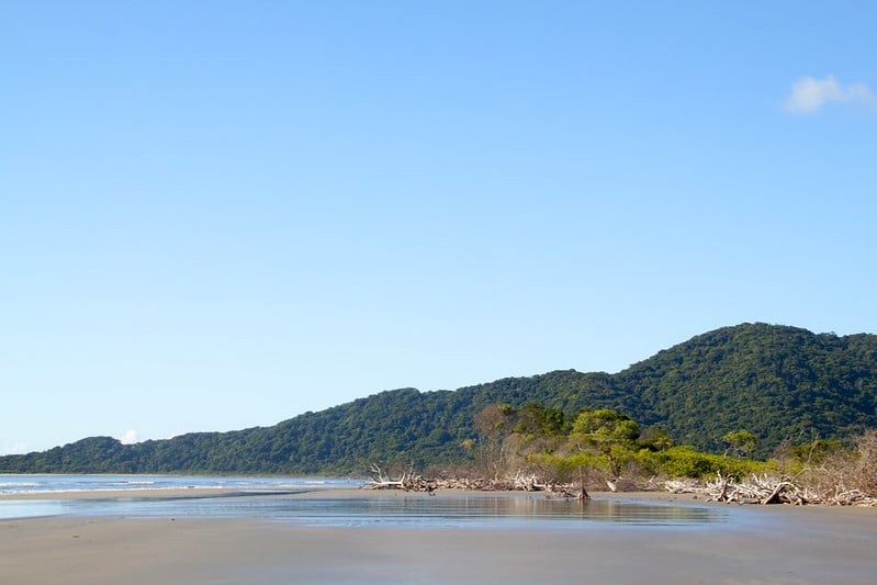 Um pouco da paisagem desse trecho da Ilha do Cardoso
